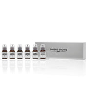 Perma Blend Luxe PMU Ink - Paulina Osinkowska Ombre Brows Set - 6x 15 ml - mrpmu