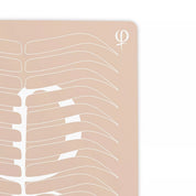 PhiAcademy - Practising Latex Printed Shape and Outlines - 3pcs - Mr.PMU