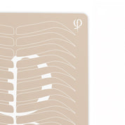 Practising Latex Printed Shape and Outlines 3pcs - mrpmu
